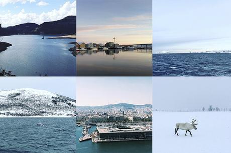  photo june_lemon.jpg