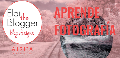 Disparar en Raw o en JPG? Disparar en Raw o en JPG?