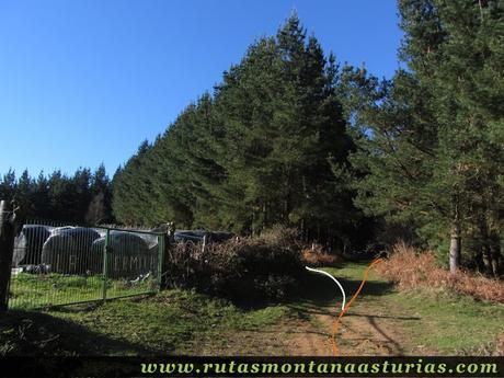 Cruce entre subida y bajada