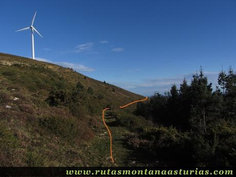 Sendero por debajo del parque eólico