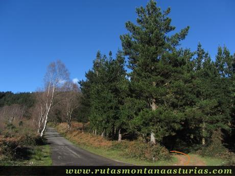 Inicio de la ruta en Alto de la Cobertoria