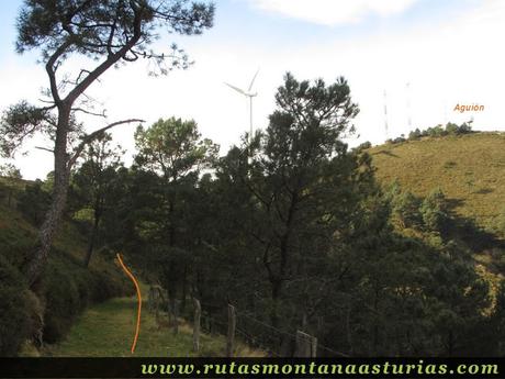 Camino hacia el pico Aguión