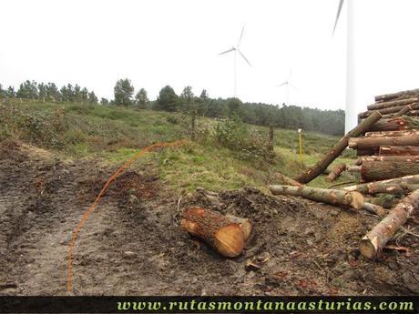 Sendero entre conducción de gas