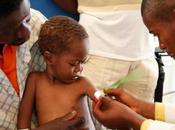 formulaciones productos contra desnutrición descuidan ácidos grasos Omega