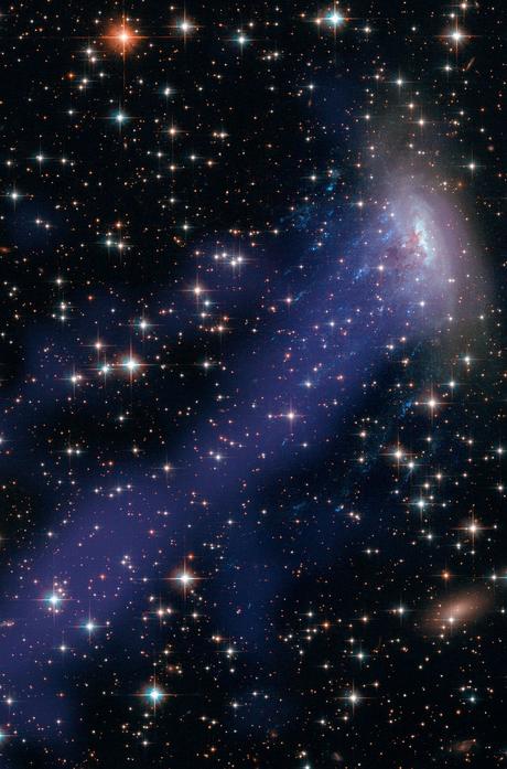 Desnudando a ESO 137-001