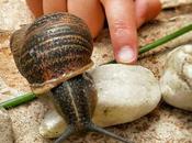 Miércoles mudo #144: Amigos jardín