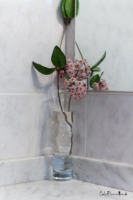 Bodegon.Clepias en un florero transparente frente al espejo.