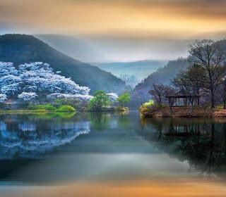 ME PEDÍAS UN POEMA...