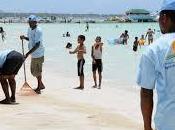 MITUR realizará jornada limpieza playas motivo Semana Santa