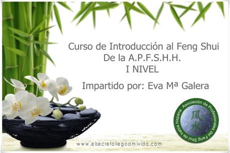 Todos mis Cursos en USD