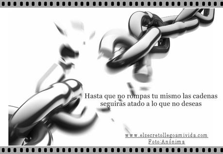 Todos mis Cursos en USD