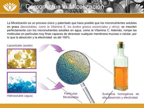 presentacion-natura-con-xanthin-23-728