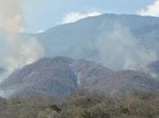 Venezuela padece otra calamidad ambiental: incendios forestales