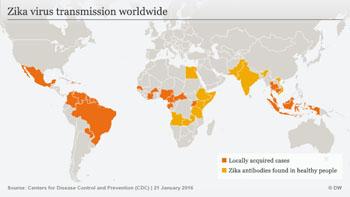 Declaran el virus Zika como emergencia mundial