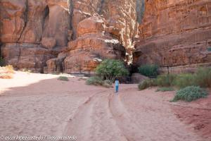 Imponentes cañones en el Wadi Rum