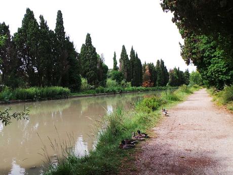 El Canal de Midi y sus esclusas. Visita de Béziers y Castelnaudary