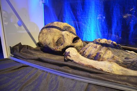 Exposición Cuarto Milenio