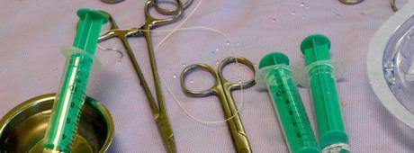 Internet no es un médico: cómo buscar adecuadamente información sanitaria