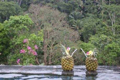 Honeymoon in Bali -Ubud Image and video hosting by TinyPic