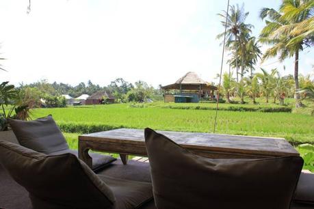 Honeymoon in Bali -Ubud Image and video hosting by TinyPic
