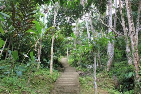 Honeymoon in Bali -Ubud Image and video hosting by TinyPic