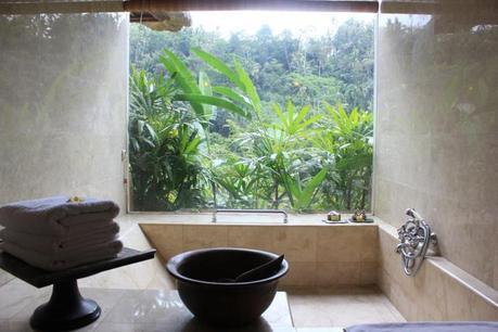 Honeymoon in Bali -Ubud Image and video hosting by TinyPic