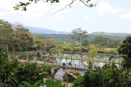 Honeymoon in Bali -Ubud Image and video hosting by TinyPic