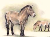 Resultados Primer concurso amateur ilustración paleontológica "Charles Robert Knight" 2016.