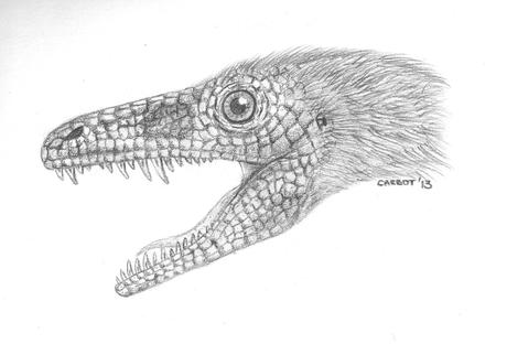 Resultados Primer concurso amateur ilustración paleontológica 