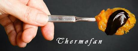 THERMOFAN