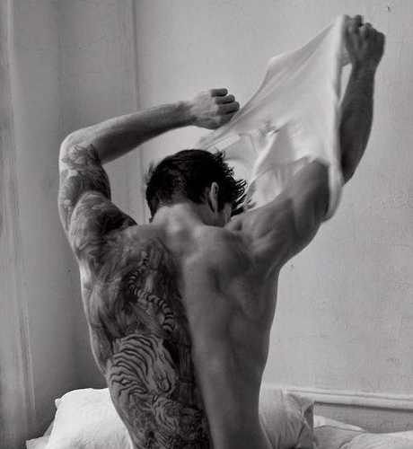 Reseña: Cazadora de hadas - Jennifer L.Armentrout 02