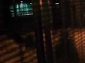 Periodista freelance sería tercer terrorista involucrado atentado Bruselas