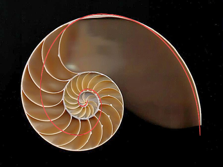 La falsa curva de Fibonacci
