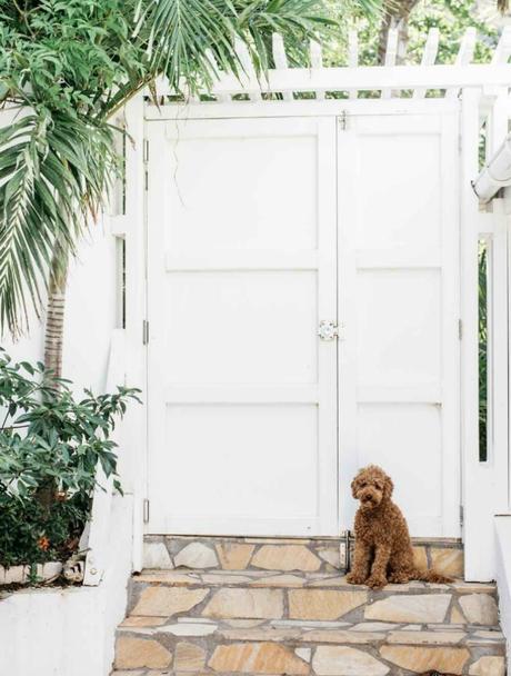 Villa Palmier en el Caribe