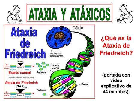 Nuevos tratamientos para la ataxia de Friedreich
