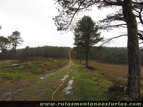 Camino a Alto de Penouta
