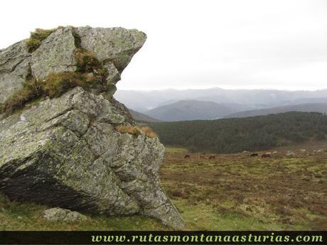 Bajando del Penouta, junto a una roca