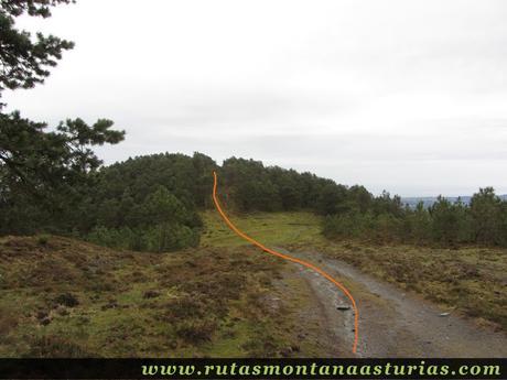 Camino al Fonteblanca