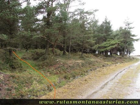 Desvío para cruzar el bosque previo a Peña de Xugos