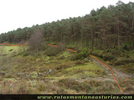 Entrando en pista forestal