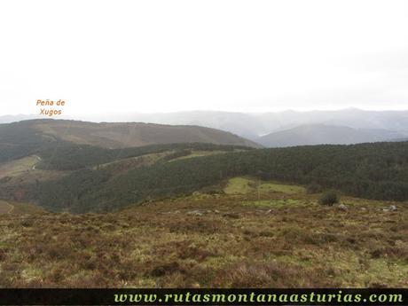 Camino a la pista forestal