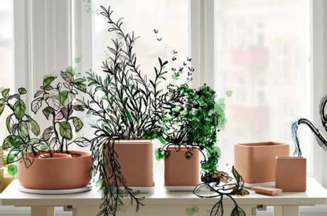 ANVÄNDBAR una edición limitada ecológica de IKEA