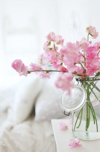 La primavera,¿ha llegado?