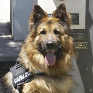 DOCE CAMPANADAS Y UN BESO, marcapáginas de regalo