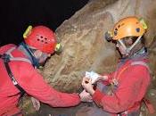 Biología Subterránea Sistema Hundidero-gato (Málaga)