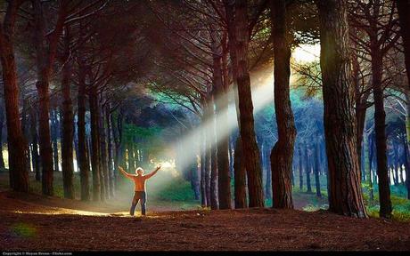 9 Preguntas que debes hacerte si quieres tener éxito en el trabajo y en la vida