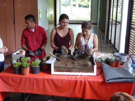 Curso de jardines verticales y cubiertas vegetales