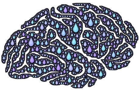 El mito de que la creatividad reside en el hemisferio derecho del cerebro – Xakata Ciencia