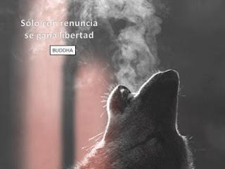 DEJAR DE BUSCAR Y EMPEZAR A SENTIR