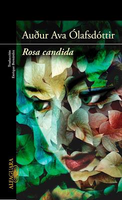 RESEÑA: Rosa Candida.